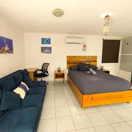 Equipped Yaxkin Studio On Downtown, 3 Blocks Away From Sea, Close To Restaurants